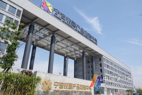 農批新地標，一站式采購！寧波農副產品物流中心開啟試運營